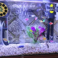 آکواریوم شرکتی با ماهی و لوازم
