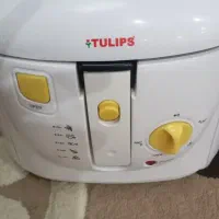 سرخ کن با روغن