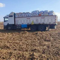 باک گازوییل