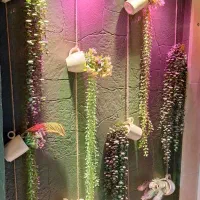 دکور دیواری پینترستی