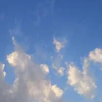 انجام تمامی پروژه ها