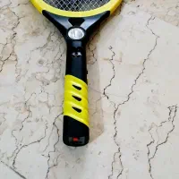 مگس کش برقی