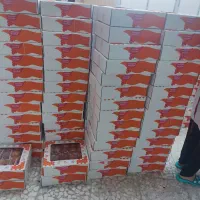 حسابدار خانم آشنا با پارسیان