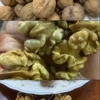 گردوی بوانات پوست کاغذی|خوردنی و آشامیدنی|شیراز, معالیآباد|دیوار