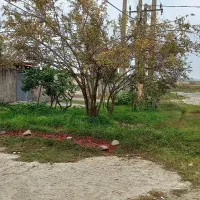 ۲ دهنه مغازه جنب همدیگه نخودچر ولوکس انبار|اجارهٔ مغازه و غرفه|رشت, خرسندی|دیوار