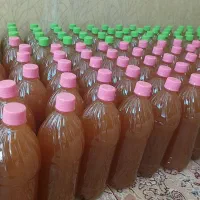 پخش سرکه سیب طبیعی ۱ لیتری کارتنی