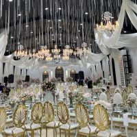 صندلی تالار همراز|میز و صندلی غذاخوری|احمدآبادمستوفی, |دیوار