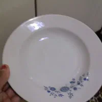 ظرف وظروف ۶ عددبشقاب خورشت خوری ۲۰۰ت|ظروف سرو و پذیرایی|تهران, خرمشهر|دیوار