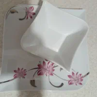 ظرف چینی طوس|ظروف سرو و پذیرایی|ساری, |دیوار