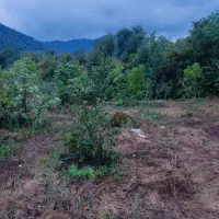 636متر زمین ویلایی مسکونی در شیرآباد