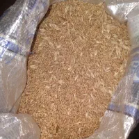 گندم