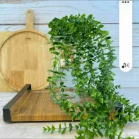 کارت ملی ب نام خانوم بلدی گم شده