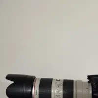 لنز کنون|دوربین عکاسی و فیلمبرداری|تهران, شیخ هادی|دیوار