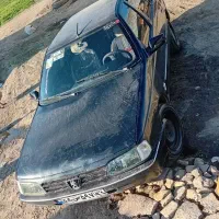 پژو ۴۰۵ دوگانه