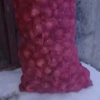 پیاز زرد فلات بهترین سایز