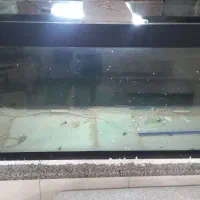 اکواریوم شیشه ده میل|لوازم جانبی حیوانات|مبارکه, |دیوار