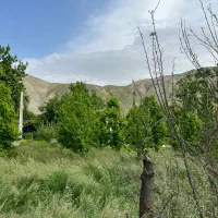 لواسان ناران 2000متر دوکله