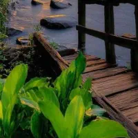 زمین-هشت-بهشت-شاهین-شهر