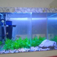 آکواریوم شیشه خم