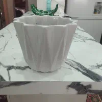 تعدادی گلدان سالم