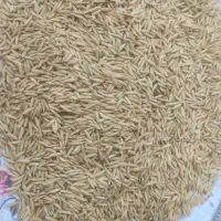 برنج طارم هاشمی