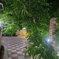 باغ‌وباغچه
