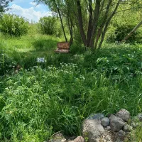 زمین در روستای گرده وباغ ۵۰۰۰متری در میرزانق|فروش زمین و ملک کلنگی|عنبران, |دیوار