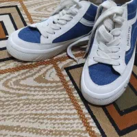 کفش نو|کیف، کفش، کمربند|بروجرد, |دیوار