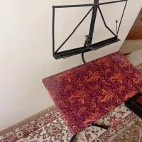 سنتورضد رطوبت عرفان سیف بامیزو پایه نت وهاردکیس|سازهای سنتی|قزوین, |دیوار