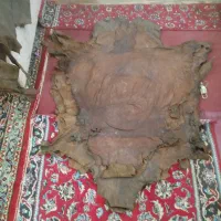 سلام مقداری چرم اماده مناسب..