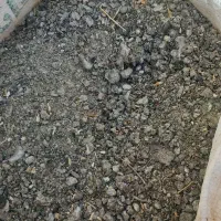 کود کبوتر