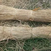 کاه(کلش)