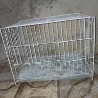 قفس