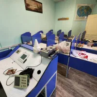 میز ام دی آف لابراتور زبان|دفتر کار|تهران, جردن|دیوار