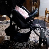 کالسکه برند هااوک آلمانی