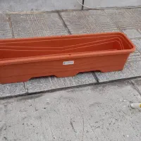 گلدان|گل و گیاه طبیعی|تهران, گرگان|دیوار