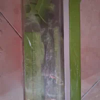 نایسردایسر نو آکبند اصلا استفاده نشده اصلا|ظروف پختوپز|بومهن, |دیوار