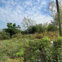 ۲۰۰ متر مسکونی روستایی|فروش زمین و ملک کلنگی|سیاهکل, |دیوار