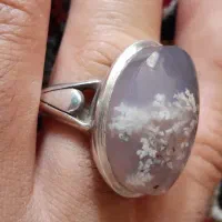 شجر فردوس|جواهرات|خرمآباد, |دیوار