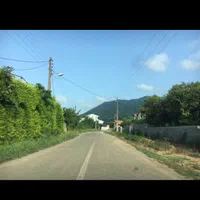 فروش زمین جنگلی باسند تک برگ|فروش زمین و ملک کلنگی|چابکسر, |دیوار