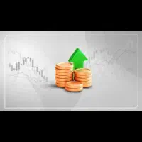 نیاز به سرمایه گذار