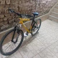 دوچرخه ویوا اصل ۲۰