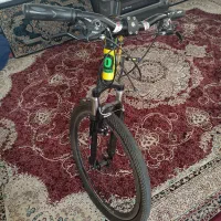 دوچرخه 26 حرفه ای