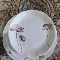 اکروپال|ظروف سرو و پذیرایی|کرمانشاه, |دیوار