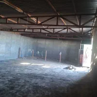 فروش دامداری(بره پرواری) با سند شش دانگ|فروش دفتر صنعتی، کشاورزی، تجاری|تربت‌حیدریه, بهشت عسکری|دیوار