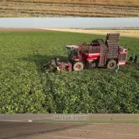 هلی شات،فیلمبرداری هوایی،هلیشات،تصویر برداری هوایی