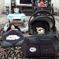 کالسکه،کریر،روروئک،کیف،قنداغ فرنگی
