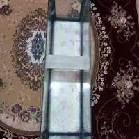 آکواریوم.وتجهیزات|ماهی|شیراز, پودنک|دیوار