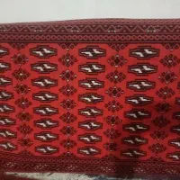 یک جفت پشتی درحدنو