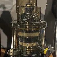 عصاره گیر صنعتی Ruvo زنجبیل